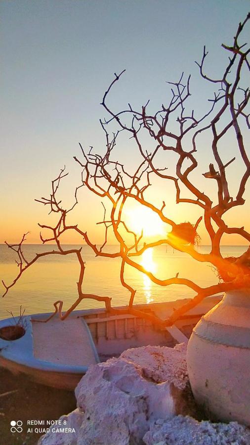 Agios Dimitrios  Sea Sound Villa מראה חיצוני תמונה